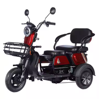 Tricycle électrique motorisé en acier, robuste> 60V >1000W, engrenages à 3 vitesses, plastique ouvert certifié DOT pour 4 passagers 20/58AH