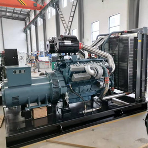 Générateur diesel Jiangsu Wantai 300 kW 50 Hz 1500 tr/min avec réservoir de carburant, alimentation de secours - Product Image 1