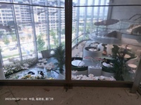 Écran LED transparent en film cristal P8, utilisation en intérieur, mur vidéo adhésif réutilisable pour vitrine de magasin de détail