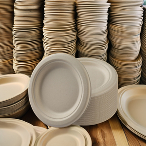 Assiettes en polystyrène personnalisées comestibles de 9 pouces, assiettes en papier jetables pour les fêtes, pour la décoration d'anniversaire des enfants - Product Image 3