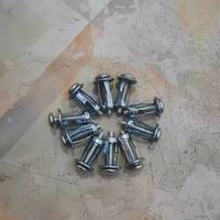Petal M4 M5 M6 M8 Petal Rivets Nut Jack Nuts Sekrup Logam Mobil untuk Dinding Berongga