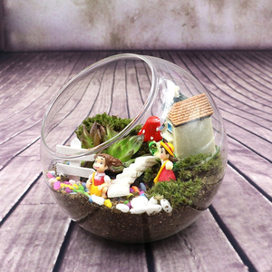 Plant <span class=keywords><strong>Terrarium</strong></span> Display Glas Tischplatte Sukkulente Luft Pflanze Pflanzer <span class=keywords><strong>Terrarium</strong></span> - Product Image 6