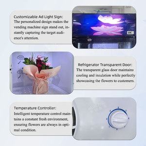 Distributeur automatique de fleurs <span class=keywords><strong>24h</strong></span> sans surveillance, avec 10/12 casiers indépendants et présentoir raffiné, directement de l'usine - Product Image 5