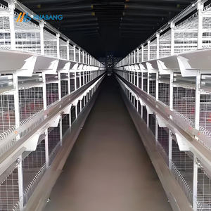 Cage automatique pour poulets de chair et volailles de type H Cage d'élevage de volailles - Product Image 4