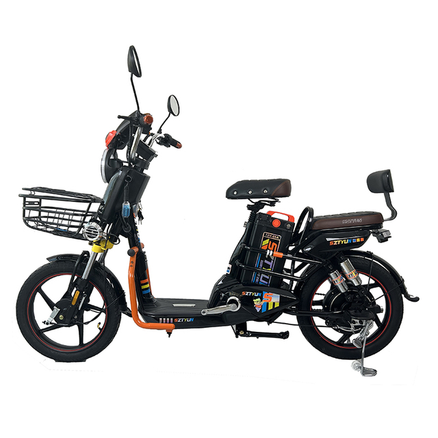 Manufacturer Electric Bicycle That Produces Electricity Bike 250W Motor 48V/13Ah Lithium Battery Electric City Bike