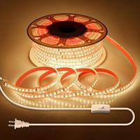 Bande LED transfrontalière 110V 5730 pour extérieur, étanche IP67, barre lumineuse haute tension 2835 double rangée 220V, flexible et haute luminosité