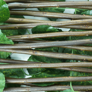 Panel de <span class=keywords><strong>hiedra</strong></span>, setos artificiales, plantas artificiales expandibles, valla de jardín - Product Image 4