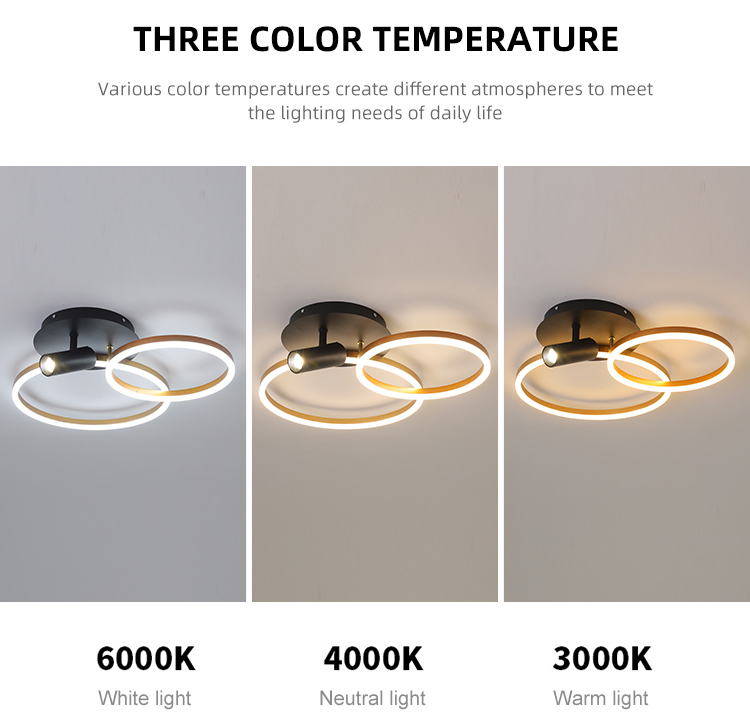 Fashion Smart Indoor Acrylic Hotel Decor Round Modern Led Ceiling Lamp For Living Room