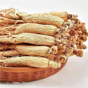 Raíz de <span class=keywords><strong>ginseng</strong></span> Qingchun <span class=keywords><strong>Ginseng</strong></span> seco <span class=keywords><strong>Ginseng</strong></span> fresco a buen precio - Product Image 2