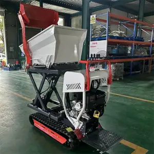 Dumper Oem Odm Tuv Goedgekeurd Hydraulische 10hp 500Kg Mini Crawler Dumper Transporter Voor Mijn Cement Beton Ce/Epa