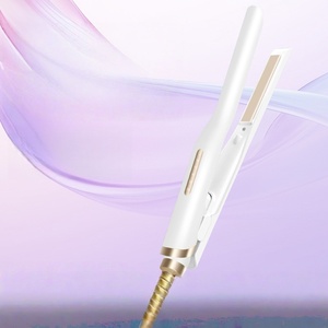 Plancha y Rizador de Pelo Plegable para <span class=keywords><strong>Hombre</strong></span>, Calentamiento Rápido con Cinco Ajustes de Temperatura - Product Image 2