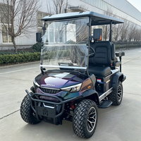 Voiture de golf électrique DC-H-F2+2, fabrication de haute performance, chariot de golf surélevé pour la chasse, 4 places, buggy de golf personnalisé de qualité supérieure