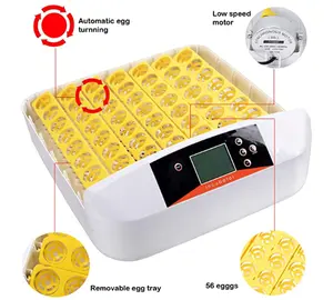 HHD Online 56A Contrôle automatique de la température des œufs à couver Contrôleur d'incubateur automatique