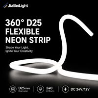 Bande LED Néon Ronde à 360 Degrés RGB RGBIC Adressable, Flexible, DC24V, Étanche IP65, pour Décoration Extérieure, Vente en Gros