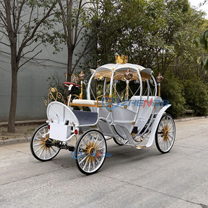 Carruaje de Caballos para Turismo, Carruaje Eléctrico de Calabaza de Cenicienta para Bodas, Carruaje Real Blanco de Lujo - Product Image 5