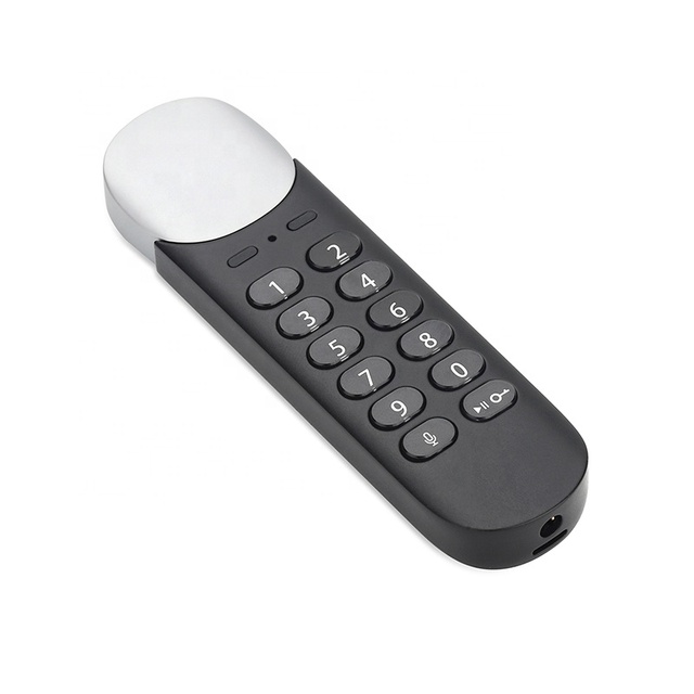 Digital Encrypted USB Flash Drive Password Protected U Disk Voice Recorder for Lectures, Meetings, Interviews, Class (32G)