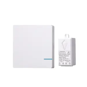 Interruptor inalámbrico Batería vida útil 10 años Luz fluorescente Control remoto RF de largo alcance Interruptor inalámbrico de luz de pared