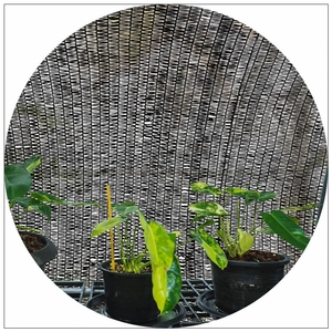 Nhà kính sử dụng tùy chỉnh bóng râm Lưới 50% bóng râm nông bóng râm <span class=keywords><strong>Net</strong></span> trong vườn rau nông nghiệp - Product Image 5