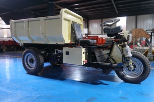 Jinwang hàng hóa điện ba bánh AC 3000W động cơ thủy lực Dump 1.5T Mini Dumper điện Dumper bán để Peru Chile và <span class=keywords><strong>Bolivia</strong></span> - Product Image 5