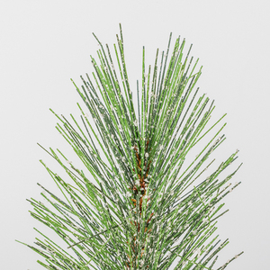 Co-Arts Mini sapin de Noël en pot facile avec décor de Noël pour cadeau - Product Image 2