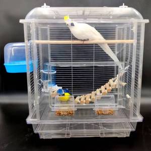 Transparenter Großer Vogelkäfig für Pfingstrosen und Wellensittiche mit Blickplatz - Product Image 6