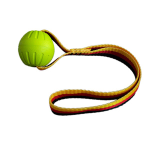 Pet interaktif açık alan sporları eğitim oyuncaklar EVA köpek çiğnemek topu oyuncak hayvan yaz yüzen oyuncak - Product Image 6