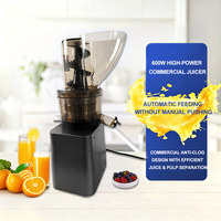 Commerciële slowjuicer, originele multifunctionele sapcentrifuge, fruit- en groentesapcentrifuge, spiraalvormige sapcentrifuge