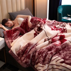 Großhandel Koreanische Doppelt Dicke Raschel Bedruckte Coral Fleece Anti-Milben Winterdecke Sofa Nickerchen Hochzeitsgeschenk - Product Image 1