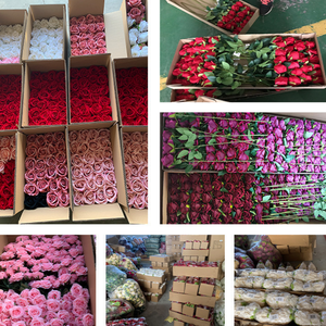 Parete di Fiori Artificiali di Alta Gamma <span class=keywords><strong>Serie</strong></span> <span class=keywords><strong>Anna</strong></span> Rose, Decorazione Semi-Manuale Semi-Meccanica con Teste di Rosa, Direttamente dalla Fabbrica - Product Image 4