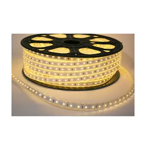 Factory direct sale LED manufacturer indoor and outdoor decorative light strip colorful fredlighting LED strip light