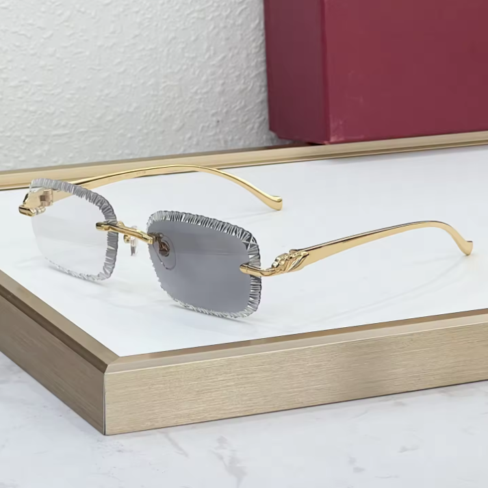 Monture dorée / Verres dégradés gris