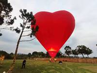 Ballon à air chaud gonflable de 8 m pour événements extérieurs, fêtes, promotions, avec souffleur, modèle Air Dancer, expédié par mer