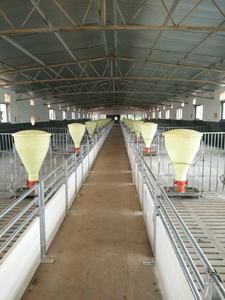 Vendita calda <span class=keywords><strong>100KG</strong></span> dry and wet acciaio inossidabile/telaio in ghisa attrezzature per l'alimentazione dei maiali alimentatori automatici per l'allevamento di suini - Product Image 4