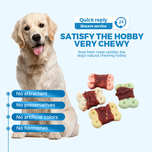 Fabrika toptan köpek bisküvi özel etiket sıcak satış Oem köpek aperatif için yüksek kaliteli bisküvi köpek - Product Image 2
