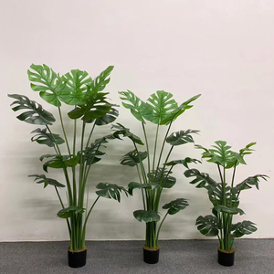 Hot Selling Hoge Kwaliteit Groothandel Kunstmatige Monstera Decoratieve Grasboom Binnen En Buiten Groen Potten Geplant - Product Image 4