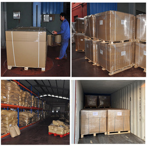 เคลือบเรซิ่นเซรามิกเคลือบผงสีถาวรสีส้ม GS 13 - Product Image 4