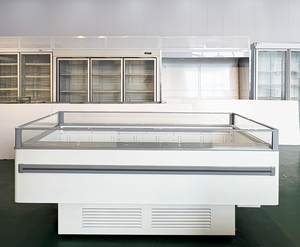 <span class=keywords><strong>Vitrina</strong></span> <span class=keywords><strong>Refrigerada</strong></span> Comercial de Una Temperatura con Isla de Exhibición y Vidrio Plano para Supermercados, Frutas, Yogur y Bebidas - Product Image 1