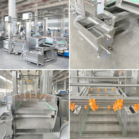 LWT Turnkey Project PLC-gestuurde productielijn voor blikjes tomaten met groentewasmachine voor fruitverwerking