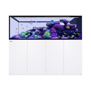 Aquarium professionnel RedSea SPS, design sans cadre, haute transparence, système de remplissage automatique d'eau, éclairage inclus. - Product Image 2