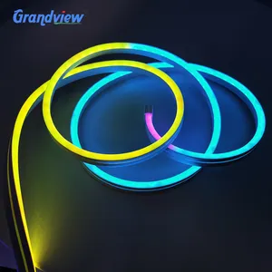 Grandview silicona tira cuerda luces tubos 5V 12V RGB lámpara personalizada Flex tira led luces de neón LED Flex Neon Light