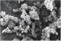 High Purity Carbonyl Iron Powder High Pure Iron Powder Price Per Ton Supplier Offered