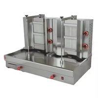 Machine à kebab au gaz en acier inoxydable de qualité commerciale, adaptée aux restaurants, hôtels, traiteurs, avec certificat ISO