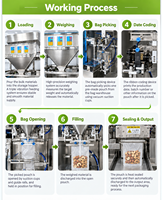 Machine d'emballage automatique de sachets préformés pour grains de café, noix, cacahuètes, graines, granola, aliments pour animaux de compagnie, sachets Doypack à fermeture éclair