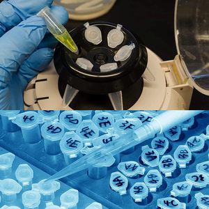 Tube de centrifugation WEIAI Lab PP Microcentrifuge PCR EP 0,2/0,5/1,5/2 ml rose violet brun vert bleu jaune rouge transparent - Product Image 5