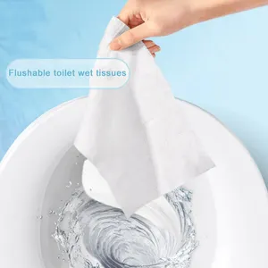 Custom Flushable Wet Wipes 10pcs Small Package Disposable Wet Toilet Paper Biodegradable Wet Cleaning Wipes