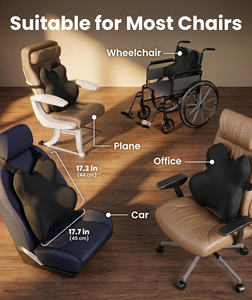 Coussin de soutien lombaire pour chaise de bureau et voiture, soulagement des douleurs dorsales, amélioration de la posture, housse en maille avec double sangle réglable - Product Image 5