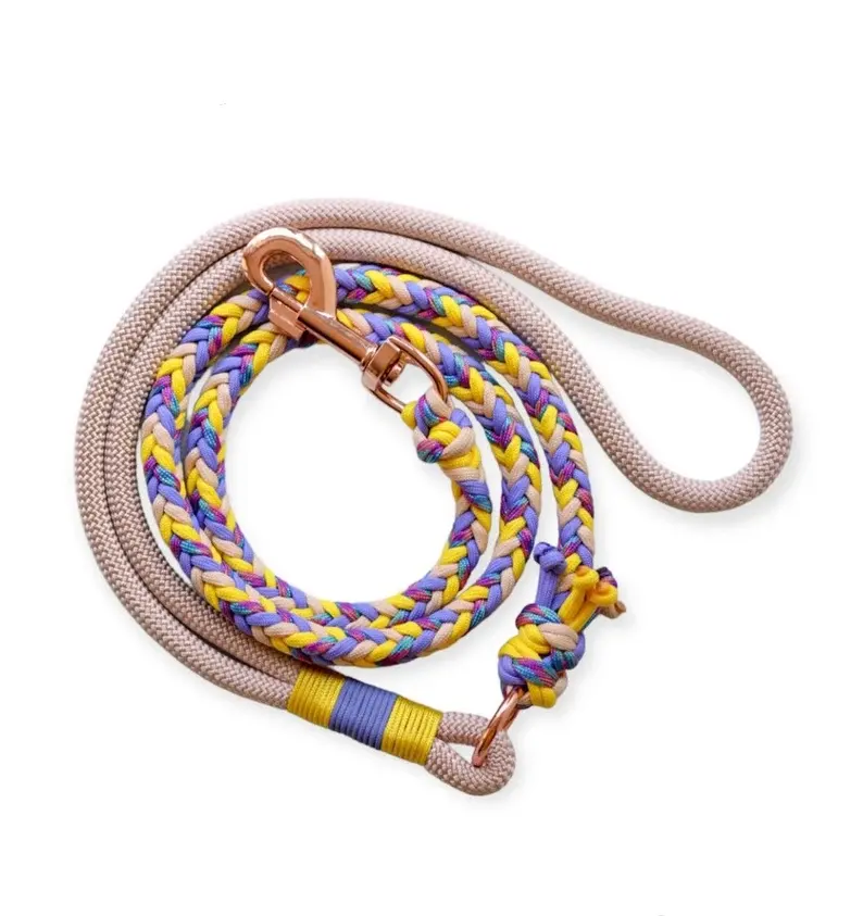 Tali kekang anjing peliharaan berjalan, tali penuntun ringan logo kustom mode nilon leashe selempang dan tali tangan gratis untuk anjing