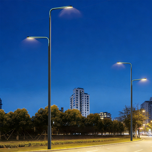 Lumière <span class=keywords><strong>auxiliaire</strong></span> bleu glace 42W, 80-300W, protection IP65, éclairage routier avancé, lampadaire LED haute luminosité - Product Image 5