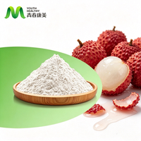 Jeugdvoeding Lychee Poeder 100% Lychee Fruitpoeder Natuurlijk Litchi Sap Poeder Te Koop