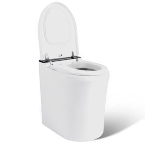 Fournisseur d'usine : WC intelligent monobloc à prix abordables et WC à incinération, machine de protection environnementale - Product Image 4